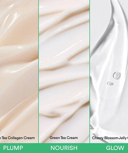 Dream Cream Discovery Trio