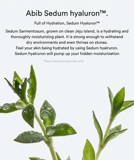 Abib Sedum Hyaluron Creme Hydrating pot 80ml