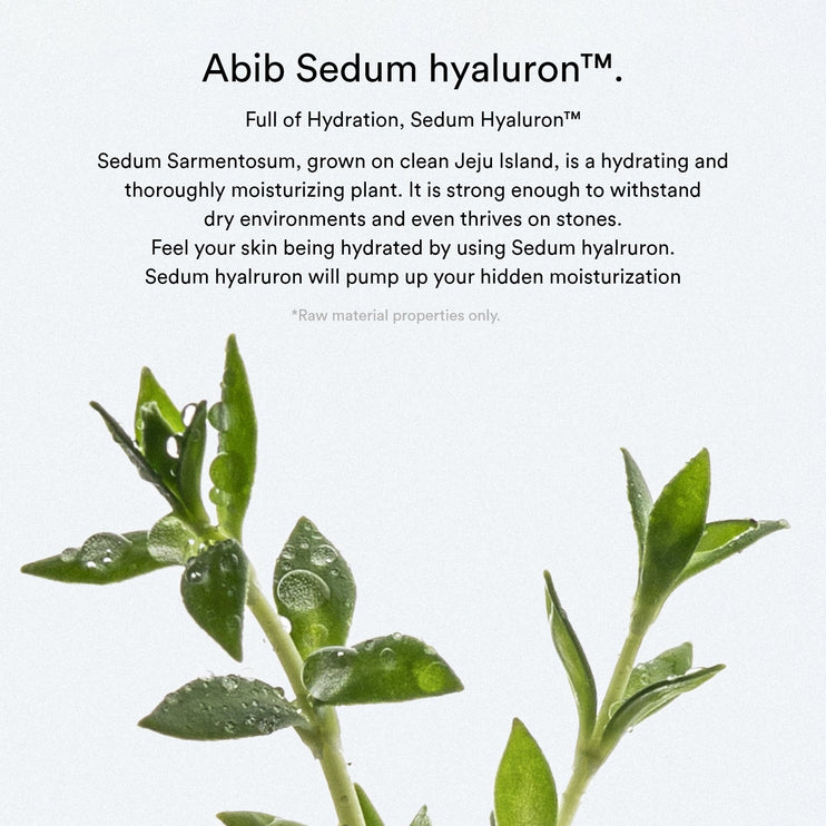 Abib Sedum Hyaluron Creme Hydrating pot 80ml